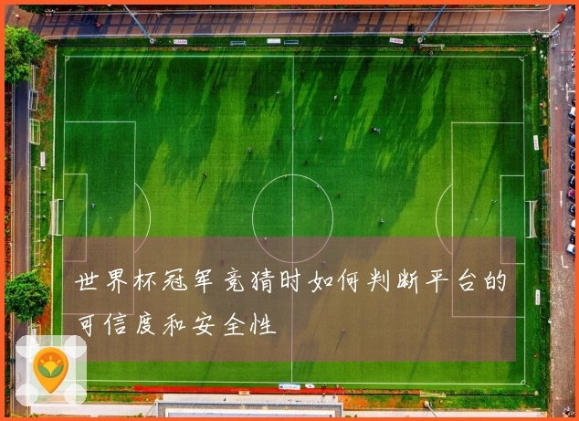 世界杯冠军竞猜时如何判断平台的可信度和安全性