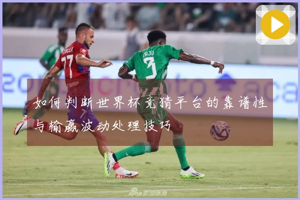 如何判断世界杯竞猜平台的靠谱性与输赢波动处理技巧