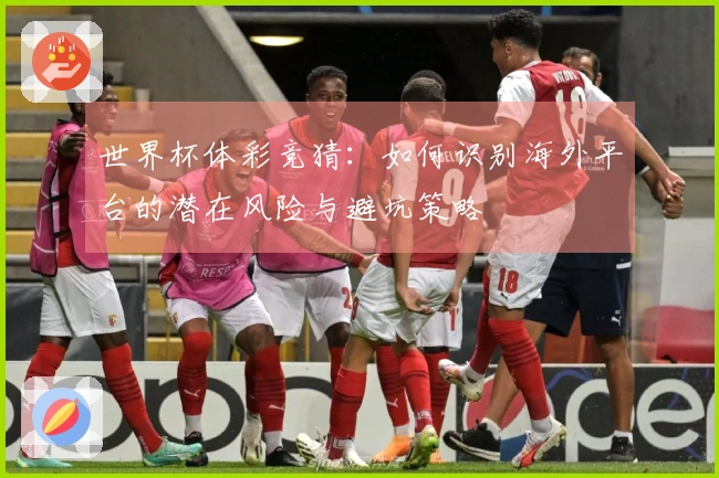 世界杯体彩竞猜：如何识别海外平台的潜在风险与避坑策略