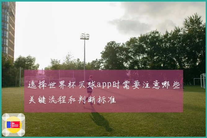 选择世界杯买球app时需要注意哪些关键流程和判断标准
