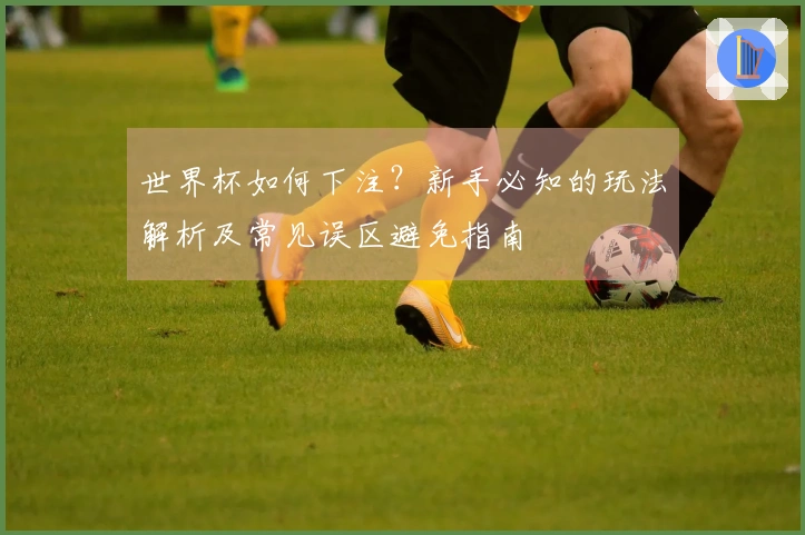 世界杯如何下注？新手必知的玩法解析及常见误区避免指南