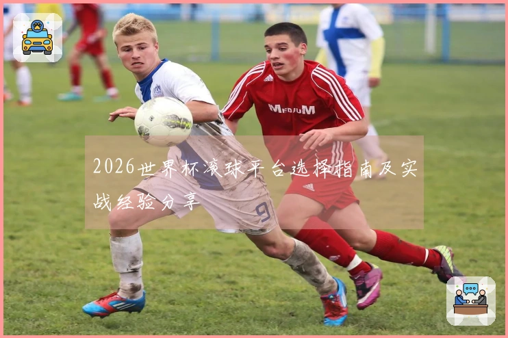 2026世界杯滚球平台选择指南及实战经验分享