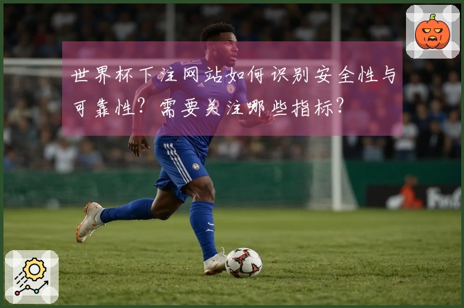 世界杯下注网站如何识别安全性与可靠性？需要关注哪些指标？
