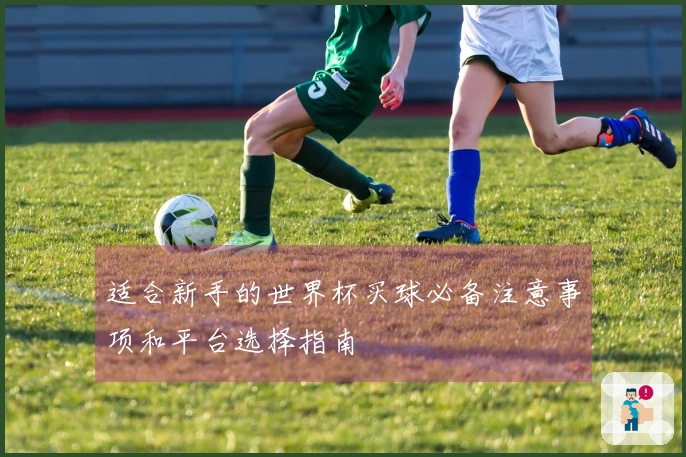 适合新手的世界杯买球必备注意事项和平台选择指南