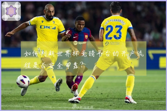 如何判断世界杯竞猜平台的开户流程是否安全可靠？