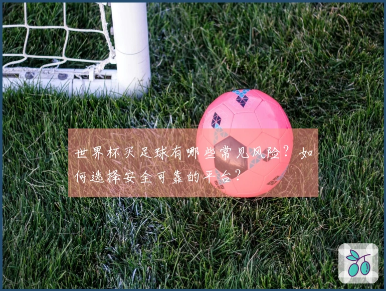 世界杯买足球有哪些常见风险？如何选择安全可靠的平台？