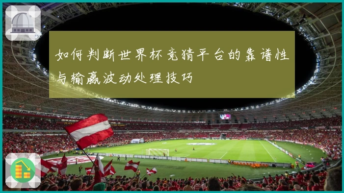 如何判断世界杯竞猜平台的靠谱性与输赢波动处理技巧