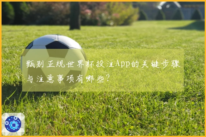 甄别正规世界杯投注App的关键步骤与注意事项有哪些？
