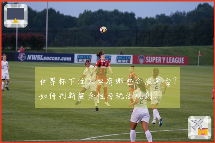 世界杯下注入口有哪些合法平台？如何判断安全性与玩法规则？