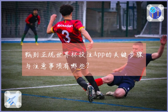 甄别正规世界杯投注App的关键步骤与注意事项有哪些？