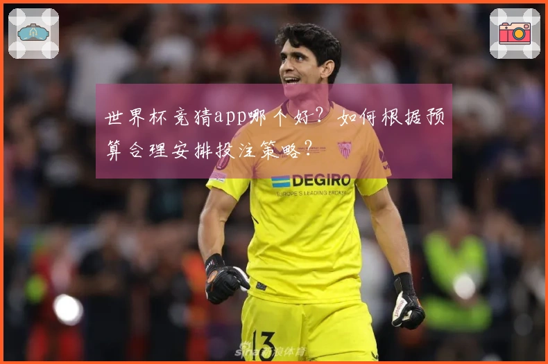 世界杯竞猜app哪个好？如何根据预算合理安排投注策略？