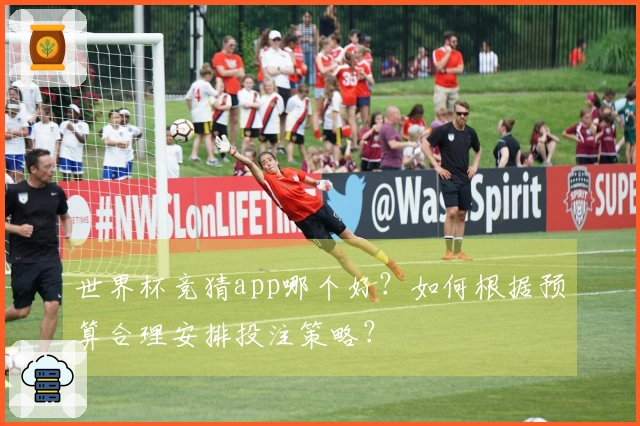 世界杯竞猜app哪个好？如何根据预算合理安排投注策略？