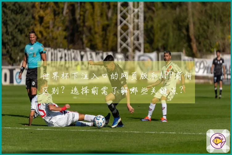 世界杯下注入口的网页版和APP有何区别？选择前需了解哪些关键点？