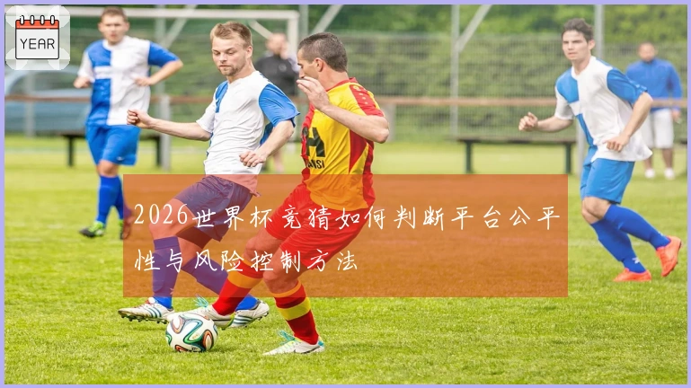 2026世界杯竞猜如何判断平台公平性与风险控制方法