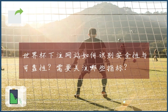 世界杯下注网站如何识别安全性与可靠性？需要关注哪些指标？