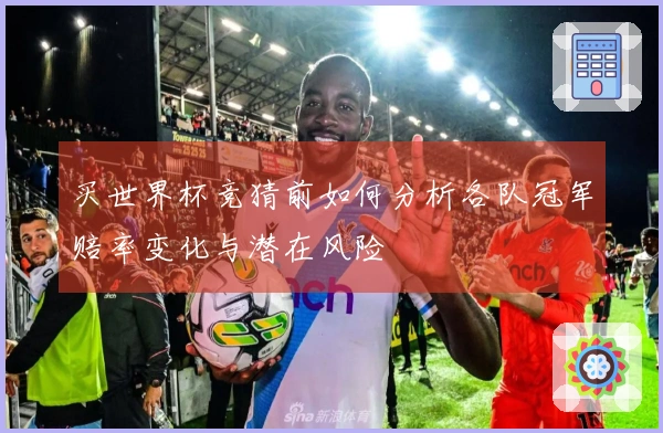 买世界杯竞猜前如何分析各队冠军赔率变化与潜在风险