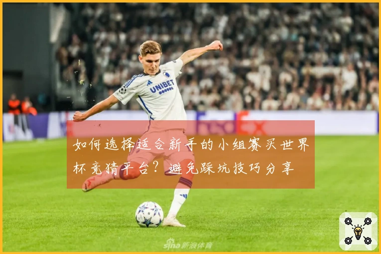 如何选择适合新手的小组赛买世界杯竞猜平台？避免踩坑技巧分享