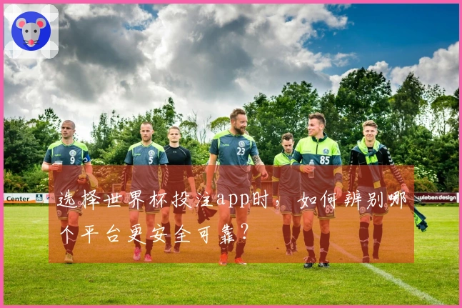 选择世界杯投注app时，如何辨别哪个平台更安全可靠？