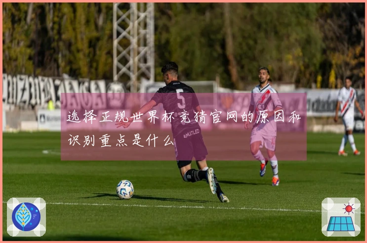 选择正规世界杯竞猜官网的原因和识别重点是什么