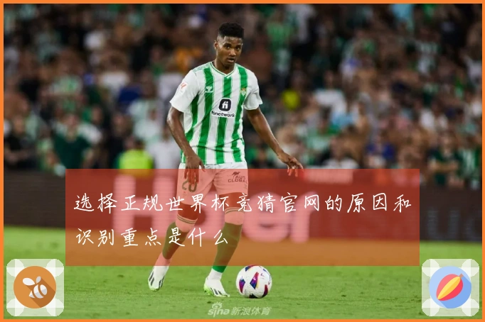选择正规世界杯竞猜官网的原因和识别重点是什么