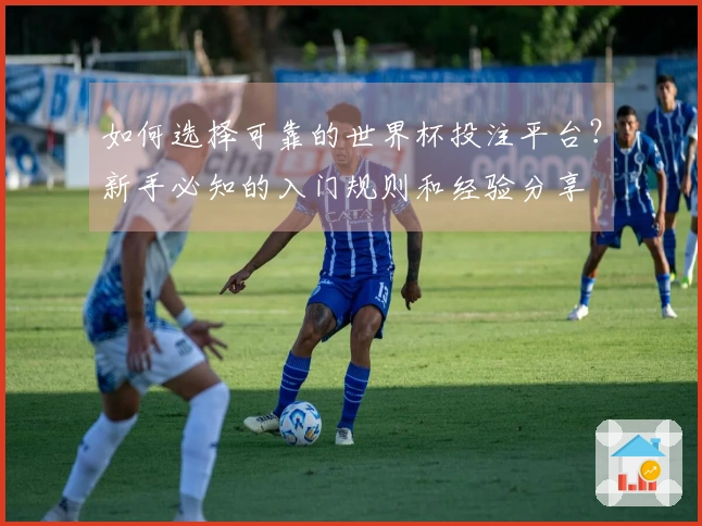 如何选择可靠的世界杯投注平台?新手必知的入门规则和经验分享