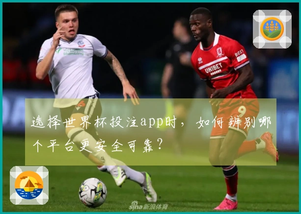 选择世界杯投注app时，如何辨别哪个平台更安全可靠？