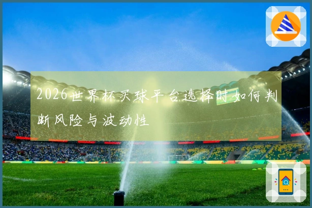2026世界杯买球平台选择时如何判断风险与波动性