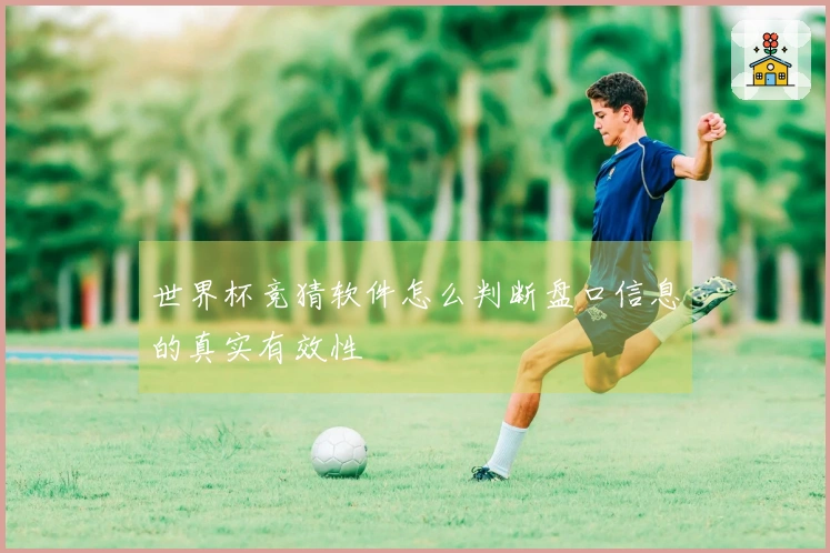 世界杯竞猜软件怎么判断盘口信息的真实有效性
