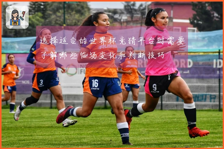 选择适合的世界杯竞猜平台时需要了解哪些临场变化和判断技巧