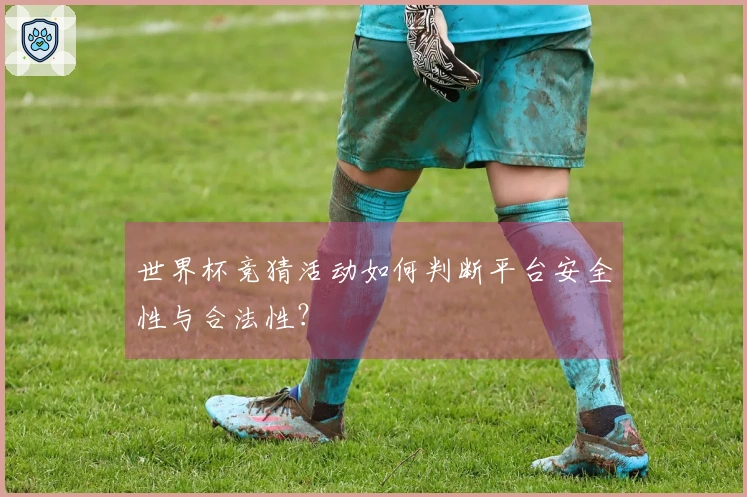 世界杯竞猜活动如何判断平台安全性与合法性？