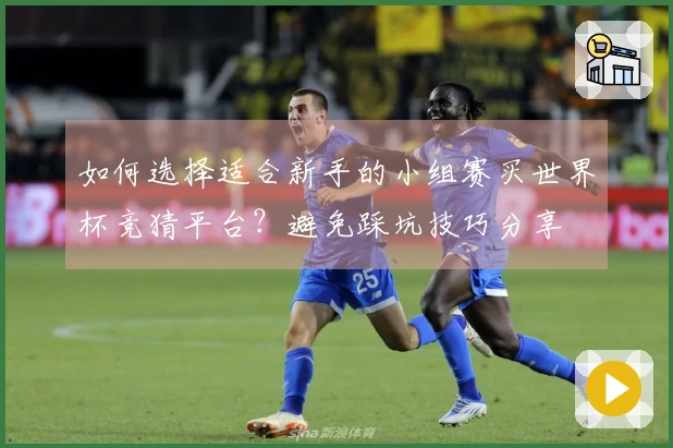 如何选择适合新手的小组赛买世界杯竞猜平台？避免踩坑技巧分享