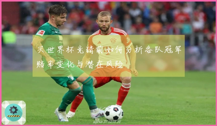 买世界杯竞猜前如何分析各队冠军赔率变化与潜在风险